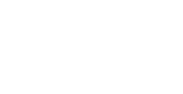 D2 Logo