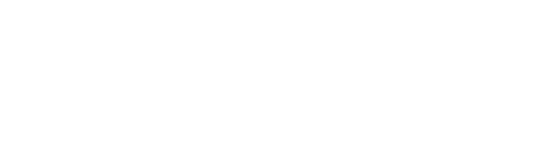 Heidi Logo